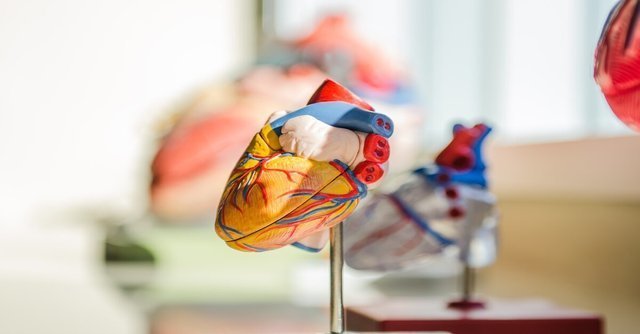 LukeDay's tweet photo. #HPC is good for the heart! See how researchers at @UCDavis are running simulations via high-performance computing to determine the impact of drugs on the heart: https://t.co/DOLTm78PTs https://t.co/l3pv09Dkmo