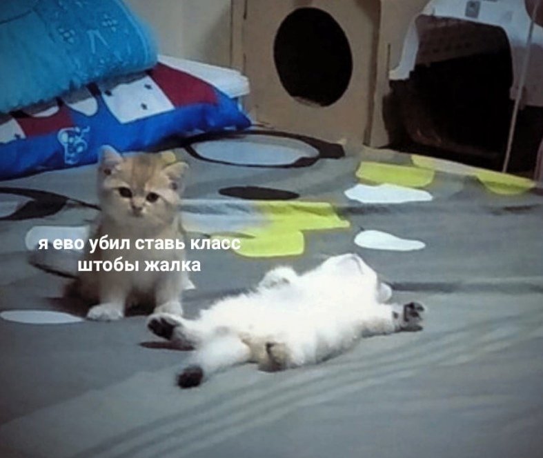imflowerslover's tweet photo. @S_KoteyKA666 пхах, красотка)) чет вспомнилась эта картинка :D

моя сестрёнка просто смеётся.. видимо привыкла к моим выходкам... https://t.co/wtoSzELASB