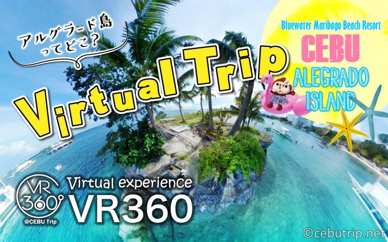 cebutrip_net's tweet photo. Alegrado Island a secluded paradise where you can spend a relaxing time that is more than worth it! 🏝🍹
YT: https://t.co/u2qPkeO1Fp
VR360: https://t.co/Xp2WhN3nLk
More details here https://t.co/8ueT9pPw0v
#AlegradoIsland #BluewaterMaribago #VR360 #VirtualTour #Cebu #Cebutrip https://t.co/aVzSZsEPZb
