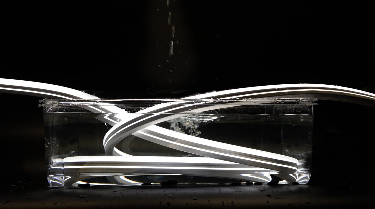 allen_lighting's tweet photo. Our Silicone Neon Flex
Flexible Working, Flex Extrusion Tube, Outdoor LED Strips, IP67-IP68 Rating
#neon #neonflex #neonlights #neonstrip #neonlight #siliconneonflex #ledneonstrip #architectural #ledtape #ledpixel #ledstriplights #ledstrip #tirasled #FitaLED #tirasneon #rubanled https://t.co/BUy3OjKdZT