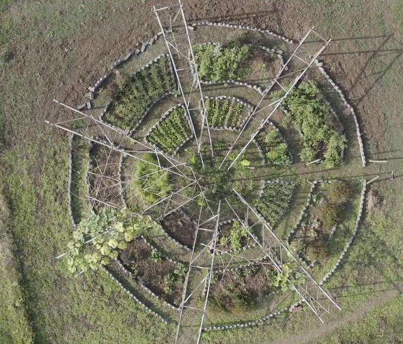 Ganga Maa Mandal: A circular Kitchen Garden (Radius: 15 Feet) where sufficient vegetables can be grown for a family (of 4-5 members) round the year. Selection of vegetables depends on local conditions (soil, weather etc.).
#BackToVillage #OrganicFarming #NatuEco #AmrutKrushi