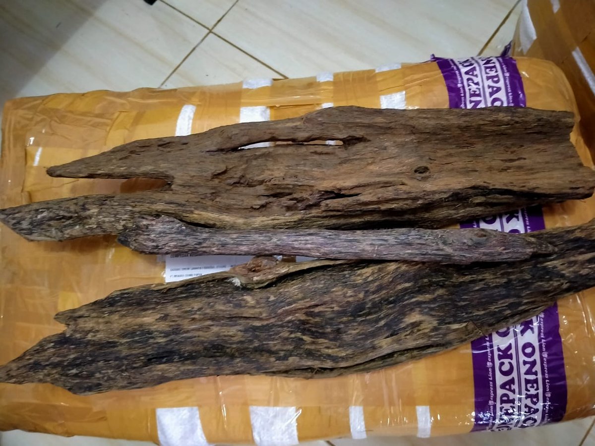 karantina_PBD's tweet photo. Petugas Karantina Pertanian Wilker Fakfak serah terima Kayu Gaharu ilegal sebanyak 44 Kg dengan Petugas BKSDA Fakfak. Sebelumnya barang tersebut ditahan setelah terdeteksi di Xray Bandara Torea Fakfak dan tidak dilengkapi SATDN dan tidak lapor Karantina. Sorong (01/04). https://t.co/3EJuDzDxaq