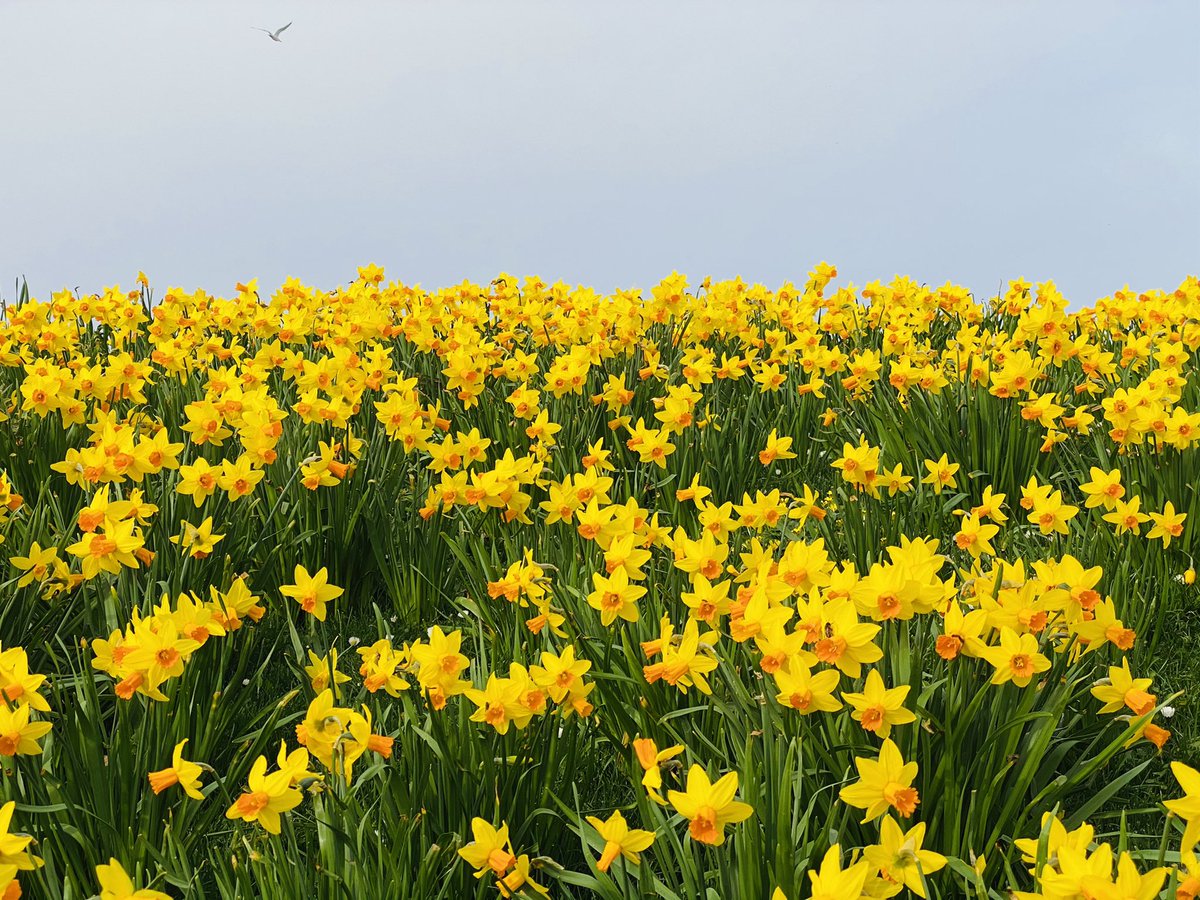 MissOtt's tweet image. Welcome April - it’s so good to see you 🤗 

#1stofApril #AprilFoolsDay