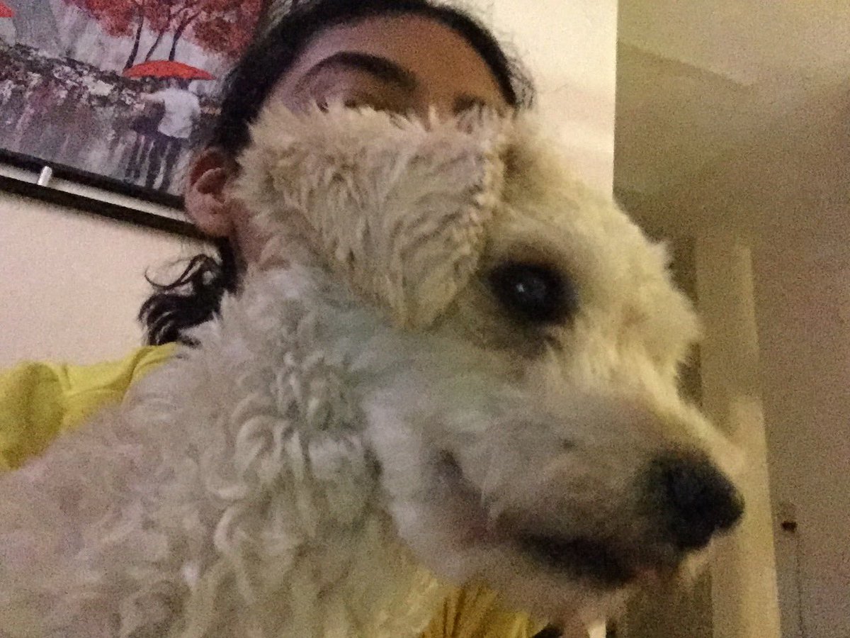 andgmrls's tweet photo. Te amo por siempre y te voy a extrañar todos mis días https://t.co/yDOhBxSOpH