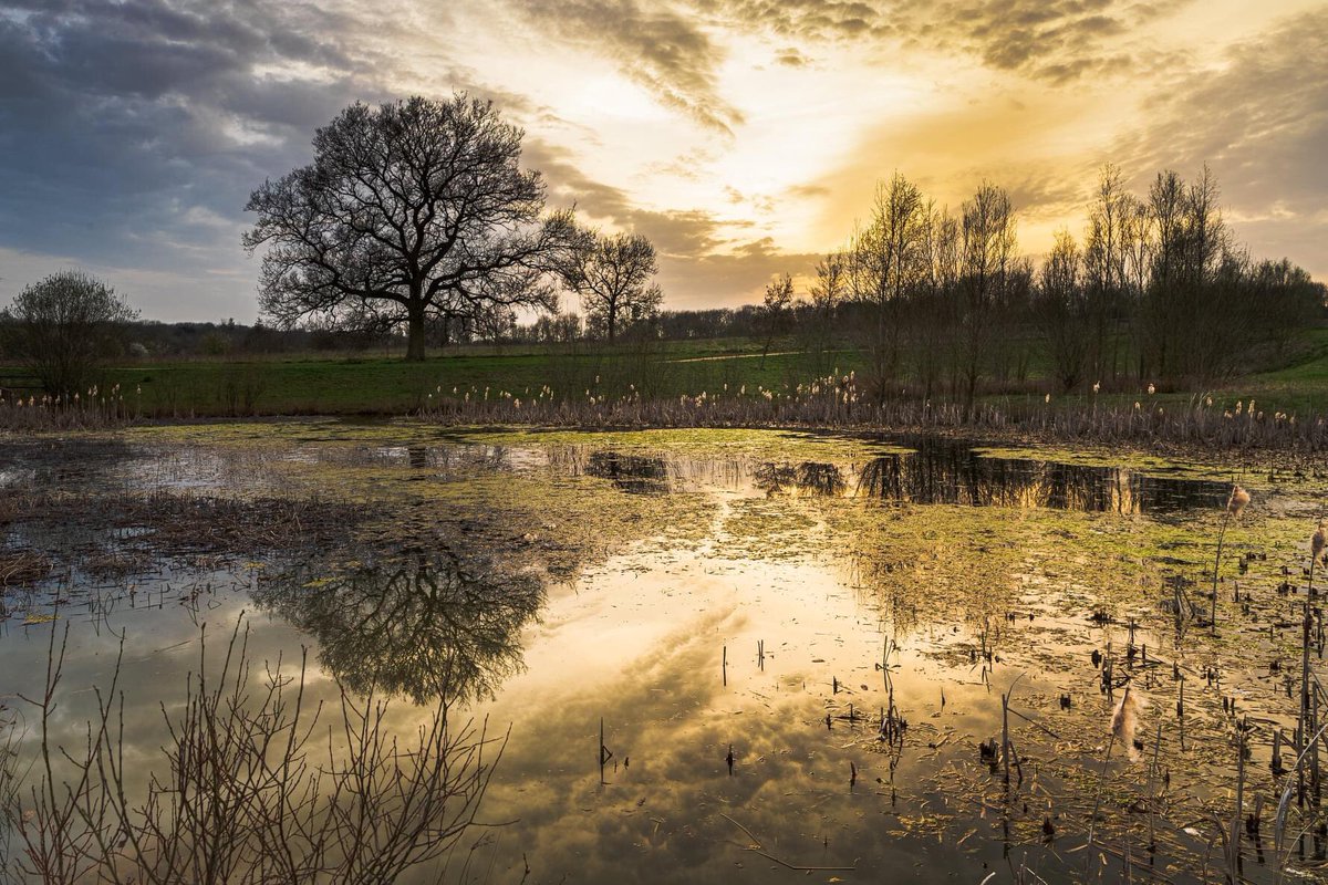 sargent1968's tweet photo. Was hoping for a better sunset last night in Tattenhoe Park #tattenhoepark #miltonkeynes @scenesfromMK @MKCommunityHub #canonphotography #1dxmkii @TheParksTrust https://t.co/jc6oqdenUd