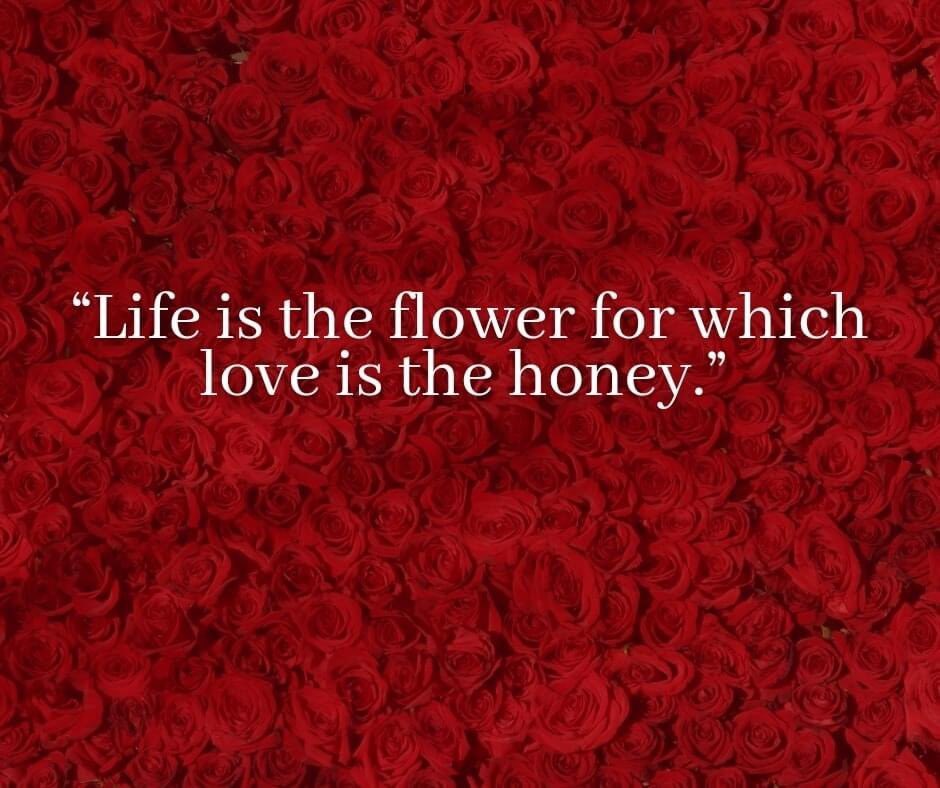 PicsNquote's tweet photo. Life is the... https://t.co/EDSCd2ccJd