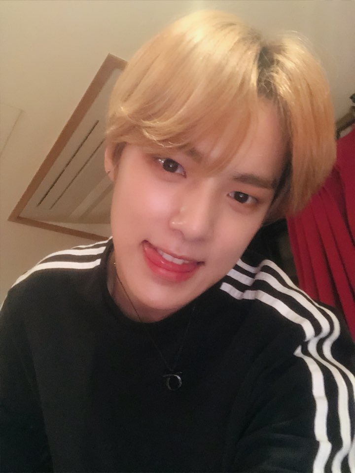 WEAREMlXTAPE's tweet photo. ⠀، 🎧 * / ꜜ𝘂𝗽𝗱𝗮𝘁𝗲 𓈀 from ‧ the﹙mıx.﹚𓂅 𝐩𝐥𝐚𝐲𝐥𝐢𝐬𝐭 !  ➪ #StreamWithGIDEAL ₊ #THATSAMYSTICNONO.

[🐶]: Recibí mi copia de I AM y me encuentro más que emocionado de poder mostrarlo. ¿Acaso no es lindo? Definitivamente es el álbum del año y LATATA un temazo. 🤞🏻 https://t.co/KyQHPe732M