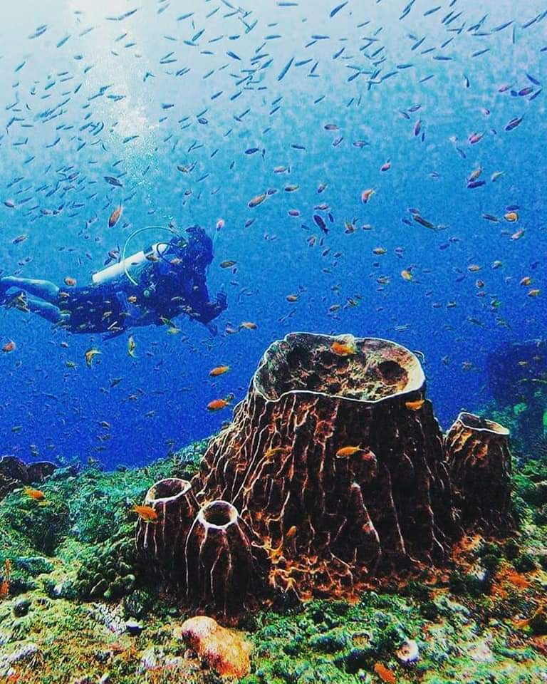 WW_Tours's tweet photo. 💢 #WORLD_WIDE_TOURS "A New Pulse Of Life"

🟦 5 Night 6 Days Andaman Honeymoon Package @32,999/- For Couple 

💢For Booking Contact us 📞 9315820103, 9625714086

#WORLD_WIDE_TOURS #wwtours #andamanislands #havelockisland🌴 #neilisland #cruise #watersports #splash  #pbotography https://t.co/Q2Lwso4pSy