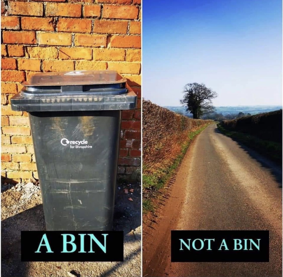 bjbubbly's tweet image. For the people who need a reminder this morning....😡