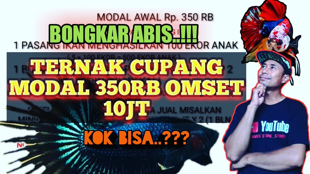 StoneAlmack's tweet photo. Daripada bengong drmh yuk mulai #ternak n #budidaya #cupang. #cupanghalfmoon #cupangavatar #cupangnemo #cupangkoi #cupangblacksamurai #cupangsuperblack Modal 350rb omset 10jt..???yakin u Gaeess gak mau nih..🤔
Buktiin aja di #youtube
Link : https://t.co/fmbG7Nh2R8 https://t.co/sWH8hd5DYH