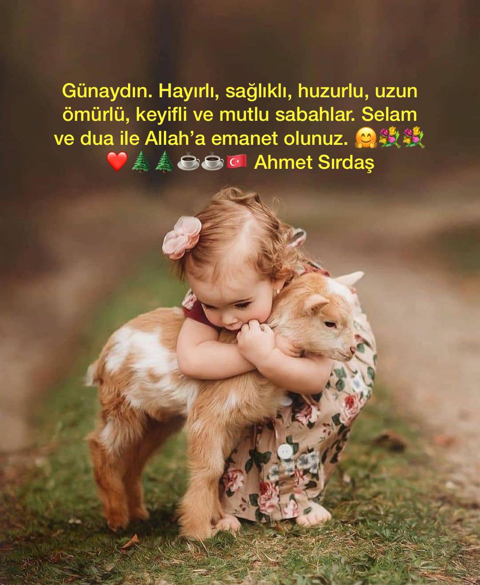 ahmetsirdas's tweet photo. https://t.co/7eLNxFa4hl