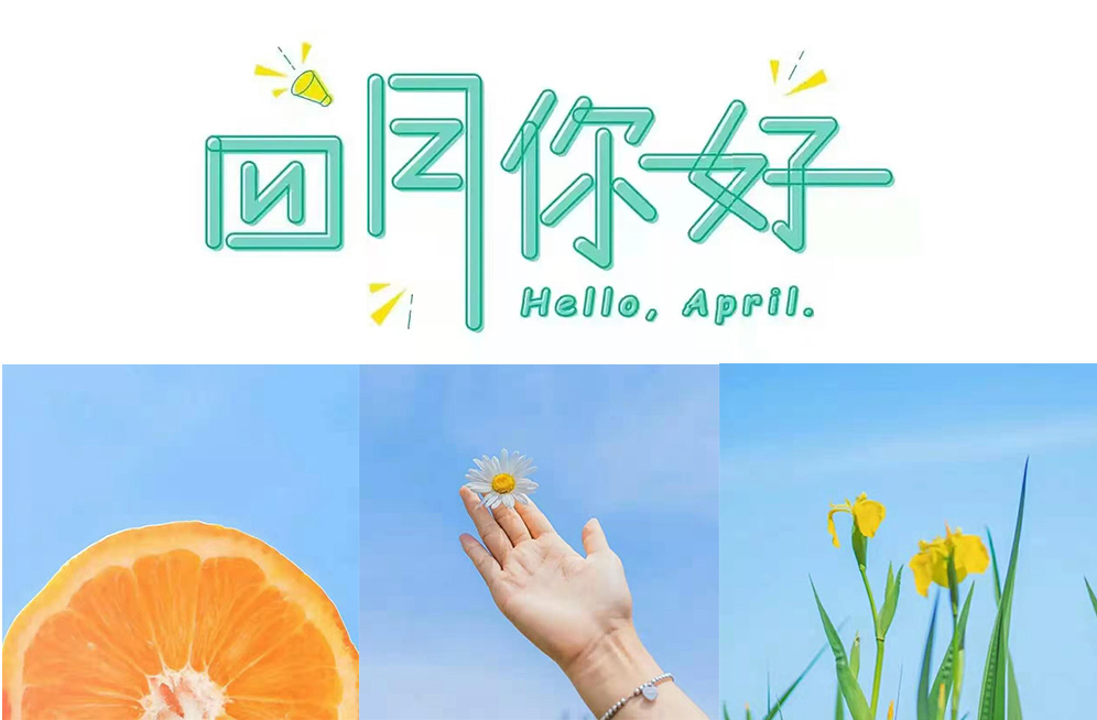 4.CN tweet media