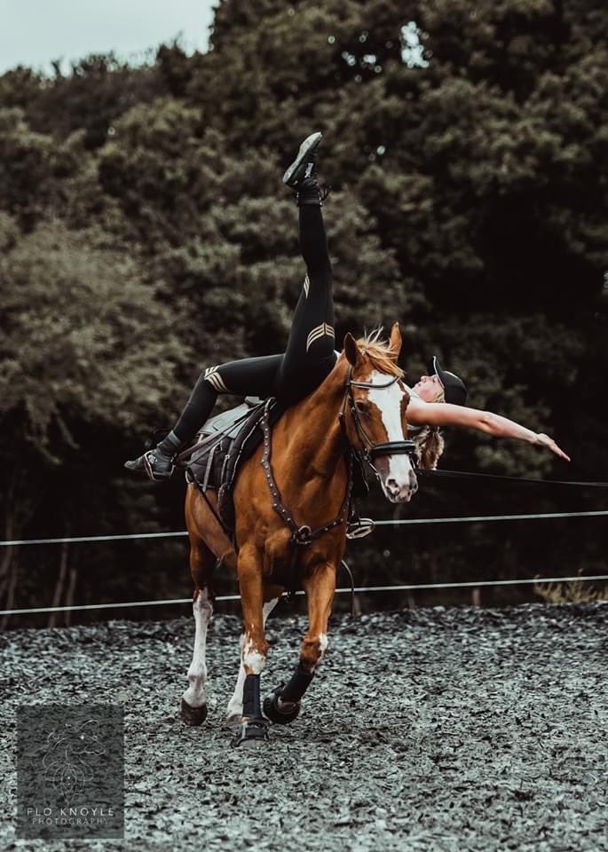 vivendiapparel's tweet photo. Do you do something different in your Vivendi’s?
How incredible does Kay Ashord look here? #Vaulting in Black & Gold Vivendi Apparel!!
Photos taken by #FloKnoyle
https://t.co/twRrVTSAtL #equestrianvaulting #ponyhour https://t.co/8sUeM9nBAn