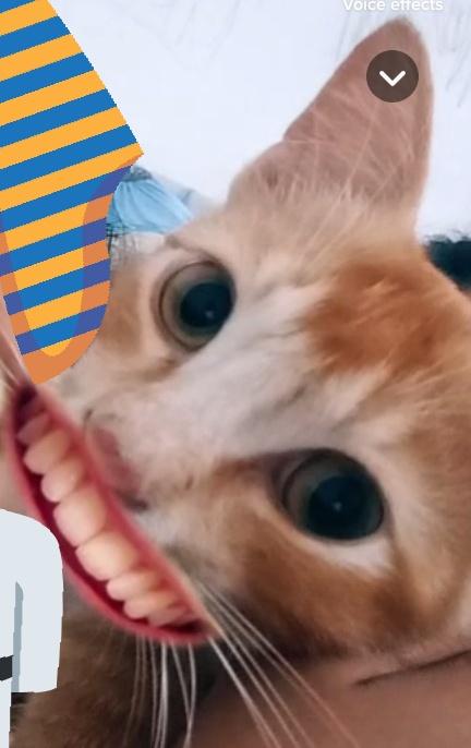 nrlathka's tweet photo. @SimpleM81378523 nitip si oyen ntr blek lg https://t.co/oreXMjjdFt