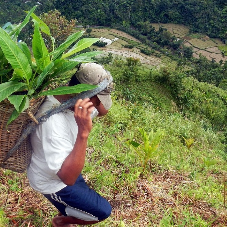 PhilippineStar's tweet photo. GOOD NEWS 🌱 

Eco-friendly search engine Ecosia has finally started planting trees in the Philippines!

In a Facebook post last Tuesday, March 30, 2021, Ecosia announced that they have begun planting trees in Panipiason, Madalag, Aklan. https://t.co/feSHjLtS6z