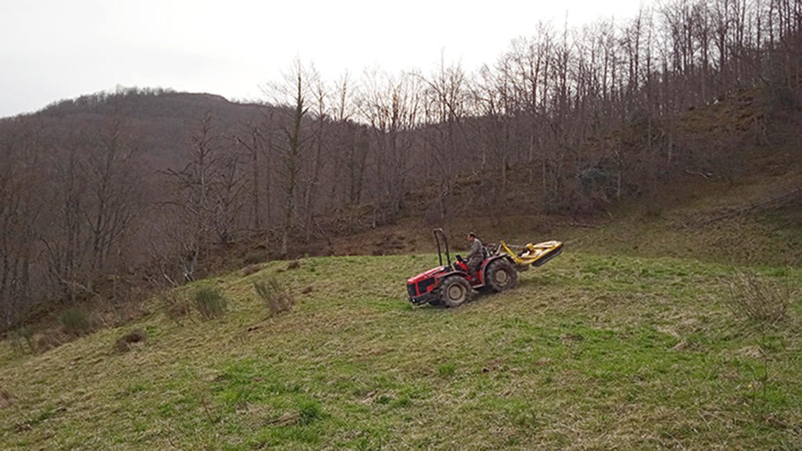 COMPRANDO Y PREPARANDO FINCAS PARA PLANTAR
Con la llegada del buen tiempo comenzamos los trabajos de limpieza de las fincas que hemos comprado, pero también, buscamos nuevos sitios para la próximas plantaciones.
fapas.es/noticias/compr…