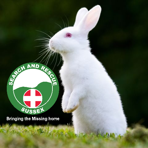 sussexsar's tweet photo. We have been trailing a new search source. Today we launch "B.B." our new search bunny.
B.B. or "Bugs" will be deployed in the hard to reach areas where  our smallest team members cant reach. Ears hopping to a successful launch.
#Searchandrescue
#Newtechnology
#Hoptoit
#Aprilfool https://t.co/GG6tD0sIdZ