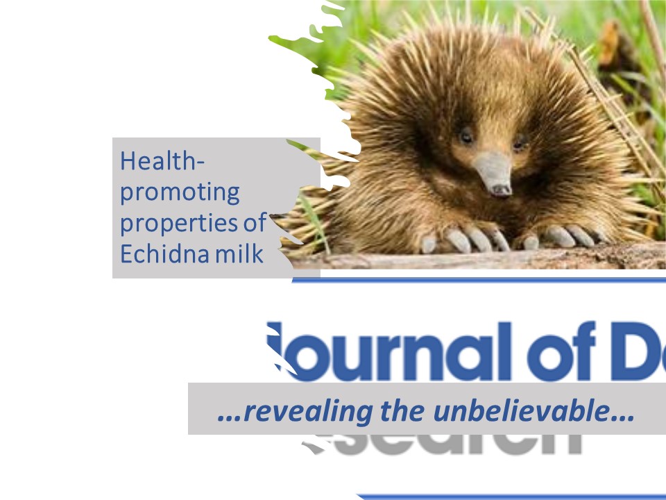 OurJDR's tweet photo. In new research published today foolaprilnic acid isolated from Echidna milk is shown to have much greater health benefits than any other fatty acid https://t.co/UjBgixX9EU