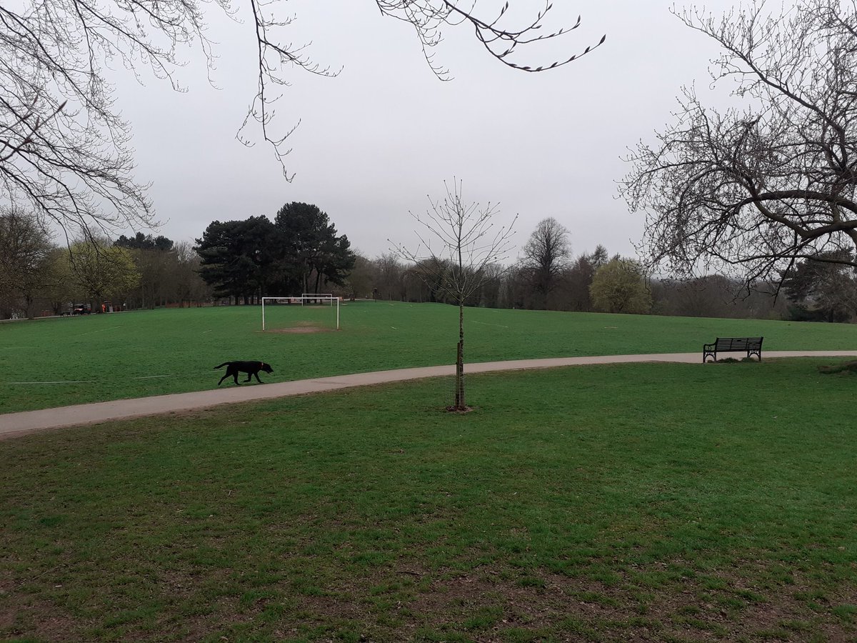 RyanCooper66's tweet photo. First job for the team cleaning Woodthorpe park. 2 hours litter picking and clearing waste left by park users. Please take your rubbish home with you surely it becomes lighter than when you brought it after the contents have been consumed. @sherwoodberrid1 https://t.co/KivdGA4zgM