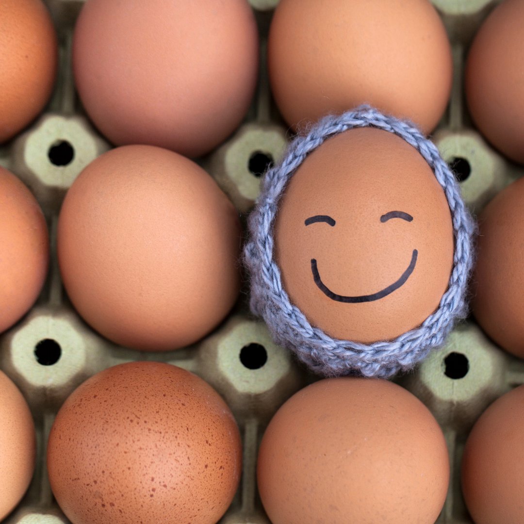 LittleTummyco's tweet photo. New on the blog: Eggs for babies, your FAQs answered. #weaning #weaningfaq https://t.co/xiyyhp6ZpO https://t.co/bwhyb9kIzA