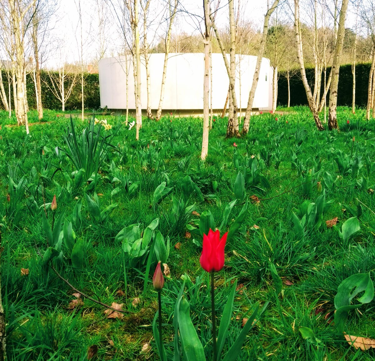 The Bishop's Palace tweet media