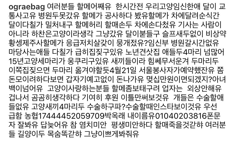 23loves23's tweet photo. 시골에서 수십 마리의 늙고 병든 유기묘와 유기견을 보살피시는 할머님이에요. 고양이 집을 공사하던 도중 탈출한 고양이(임신중)를 잡으려다 할머니와 고양이가 다쳤어요. 운전자는 그냥 가버린 상태입니다... 혹시 여유되시는 분들은 후원 부탁드려요.

농협 17444452059709 박옥래 https://t.co/V6hWZr6h8Z