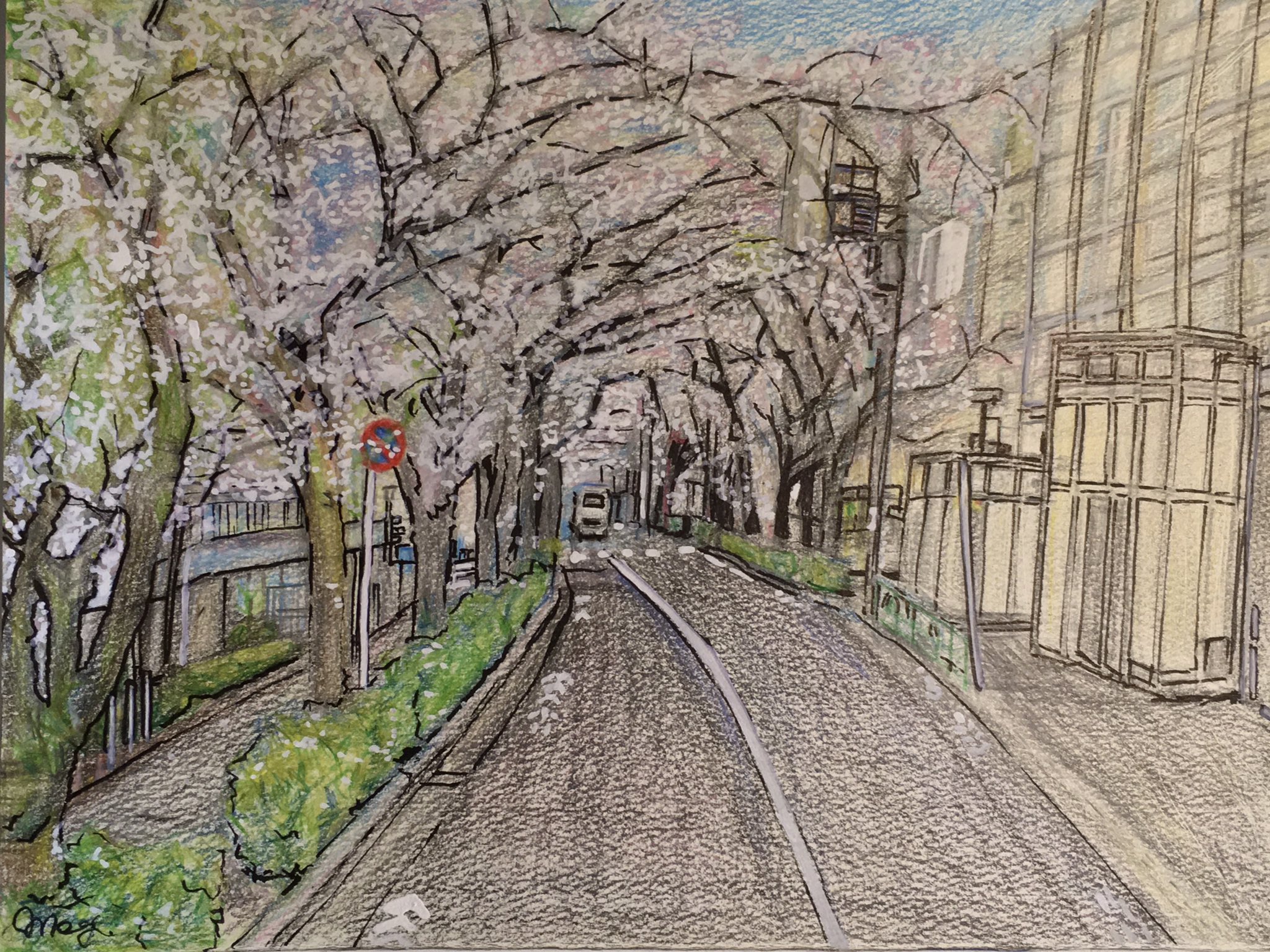 Megumi Gemgemworks 桜並木 の絵を描きました 7時間半かかった 色鉛筆 と 黒ペン と 白の ポスカ です イラスト いらすと お絵描き Illustration T Co Ikr76mmkcl Twitter