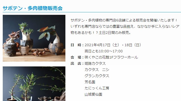 来栖カレー 多肉垢 No 18 やったー 咲くやこの花館でサボテン 多肉植物展開催 しかも販売会もあるじゃないかやったー たにっくん工房とか 姫路カクタスさんとか カクタスニシさんとか 芳名園さんとか 山城愛仙園さんとかくるって