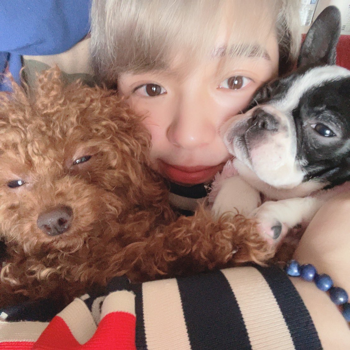 yuusuke_YT_08's tweet photo. この度は、応援してくださった皆さんに良い結果を恩返しすることが��きず、申し訳ない気持ちでいっぱいです。
この期間は、ずっと不安でいっぱいで、安心して寝れた日はなかったです。沢山自分と向き合い、見つめ直す時間でした。
応援ありがとうございました🙏 https://t.co/qsG7Mw2uEZ