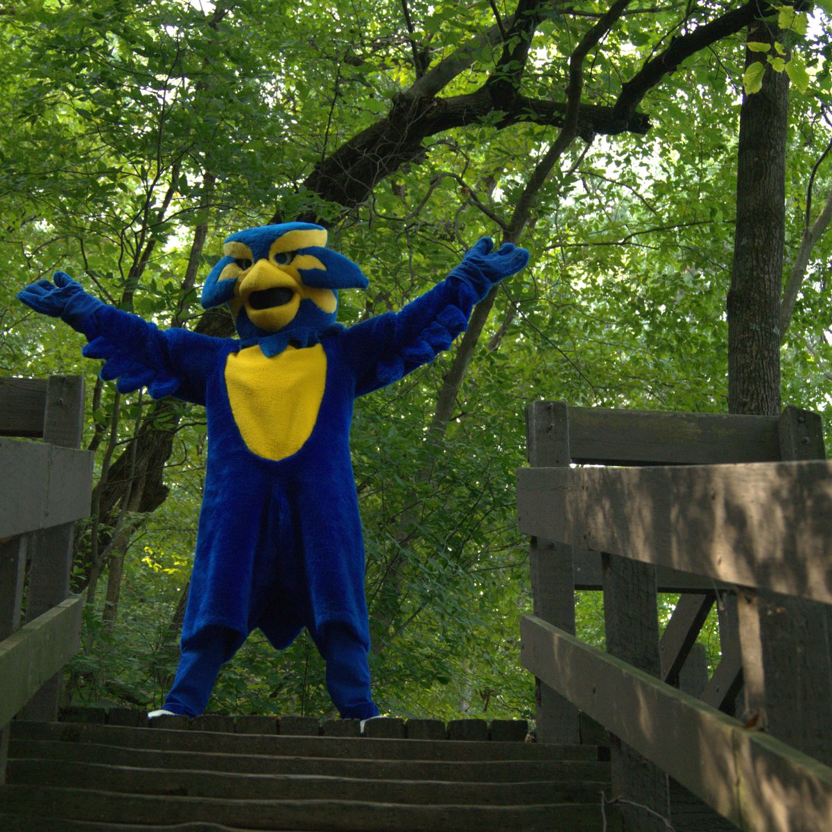 Happy Thursday Blugolds! I wanted to do an early Blugold Friday Giveaway! The link below is a survey, answer all of the questions correctly, and you will be entered to win a $50 Kwik Trip gift card! Good Luck!!

tiny.cc/BlutheBlugold