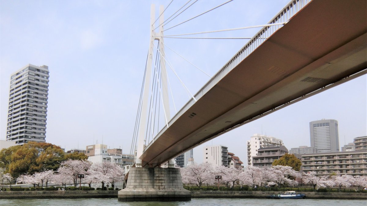 大川さくらクルーズ