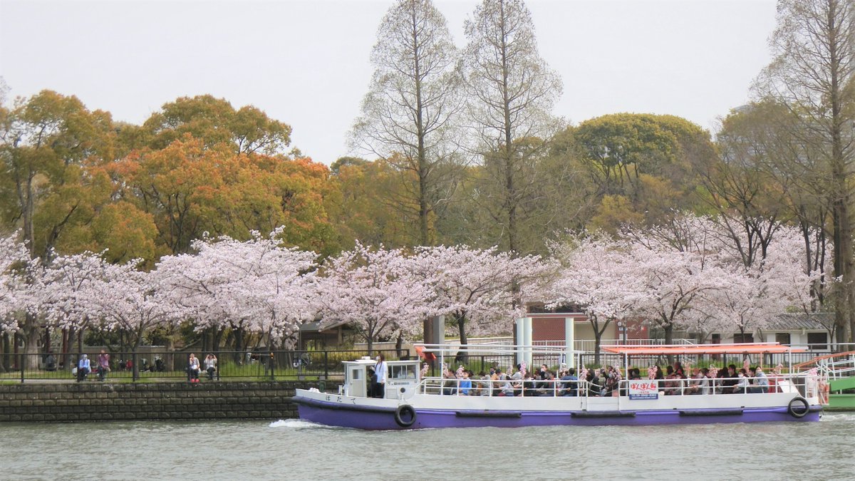 大川さくらクルーズ