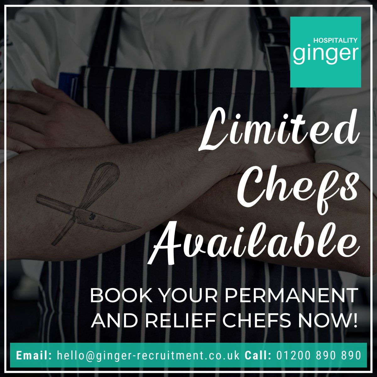 ginger_hosp's tweet image. It's great to see so many chefs returning to work as hospitality reopens. It's been a long time coming for the industry!

Placements are filling fast, secure your permanent and relief chefs now.
✉️ hositality@ginger-recruitment.co.uk 
📱 01200 890 890

#chefjobs #reliefchef
