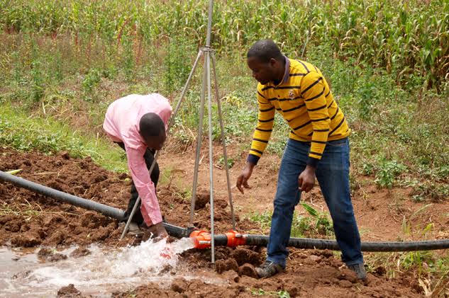 Engineer_Musty's tweet photo. The main reason Agriculture is not booming with use of latest farms implements &amp; technology in Sokoto is bcoz our Western educated folks are not into farming! They have taken civil service jobs instead of farming eventhus farming pays much more! Pls join me to be a farmer! https://t.co/mkmUNeb6Le