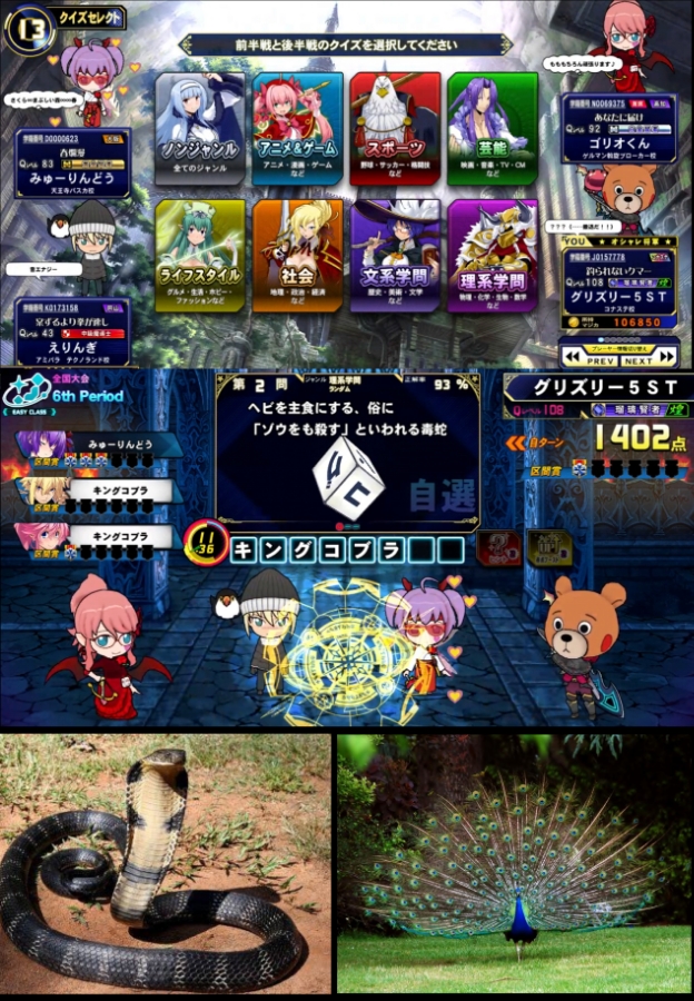 ダークグレイ グリズリー５ｓｔ 世界最大の毒蛇に噛まれたら助かる見込みはない そんなキングコブラでも意外な弱点を抱えているのである 自分の毒に対して抗体を持っていない つまり自分で自分を噛んでしまった場合 命を落とすことになるのである