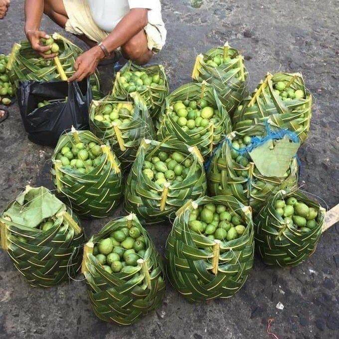susantananda3's tweet photo. Why one needs artificial packing materials when nature is packed with all that we need🙏🏼 https://t.co/dk5rKAxivc