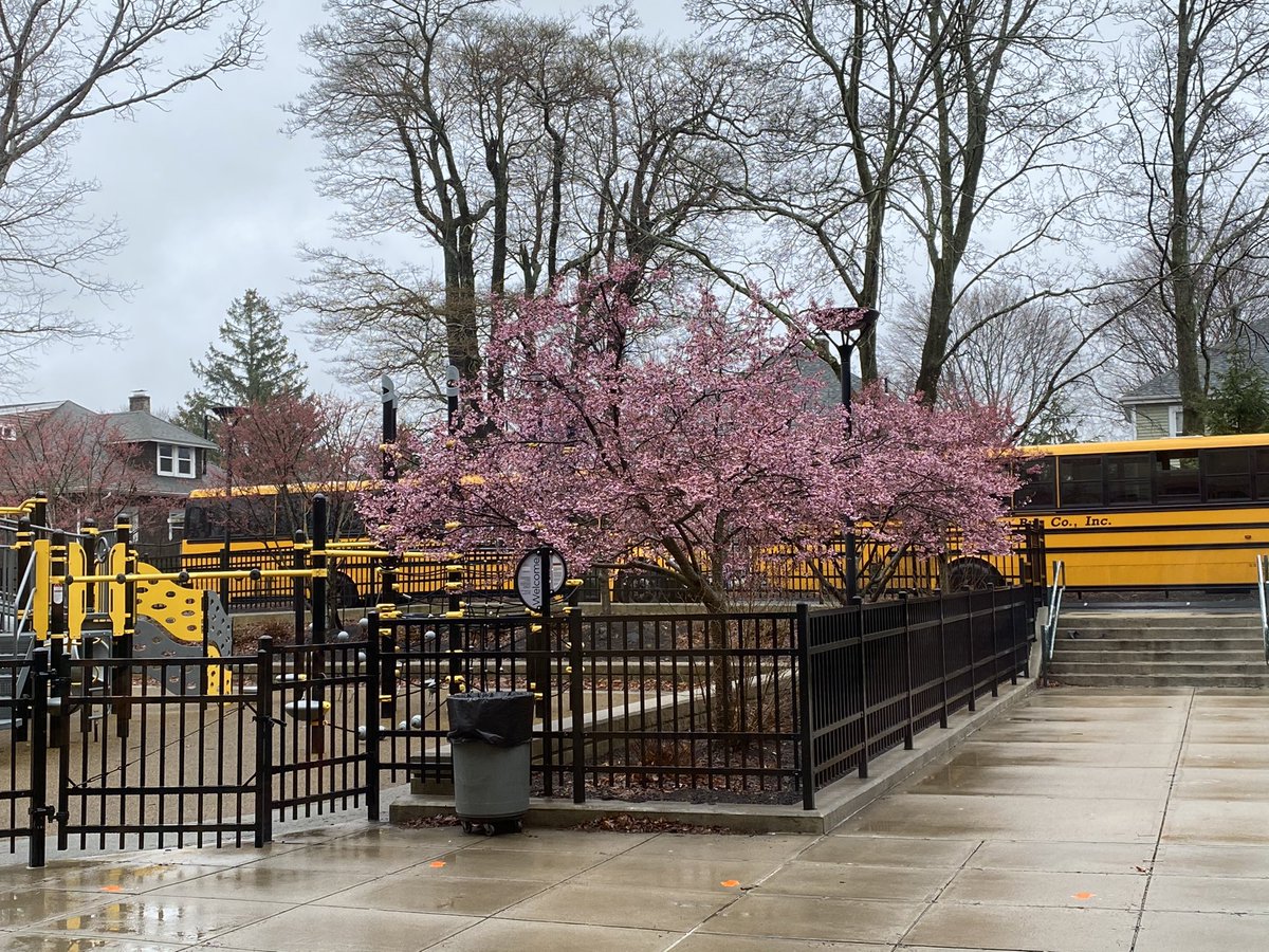 Good morning Whittemore!