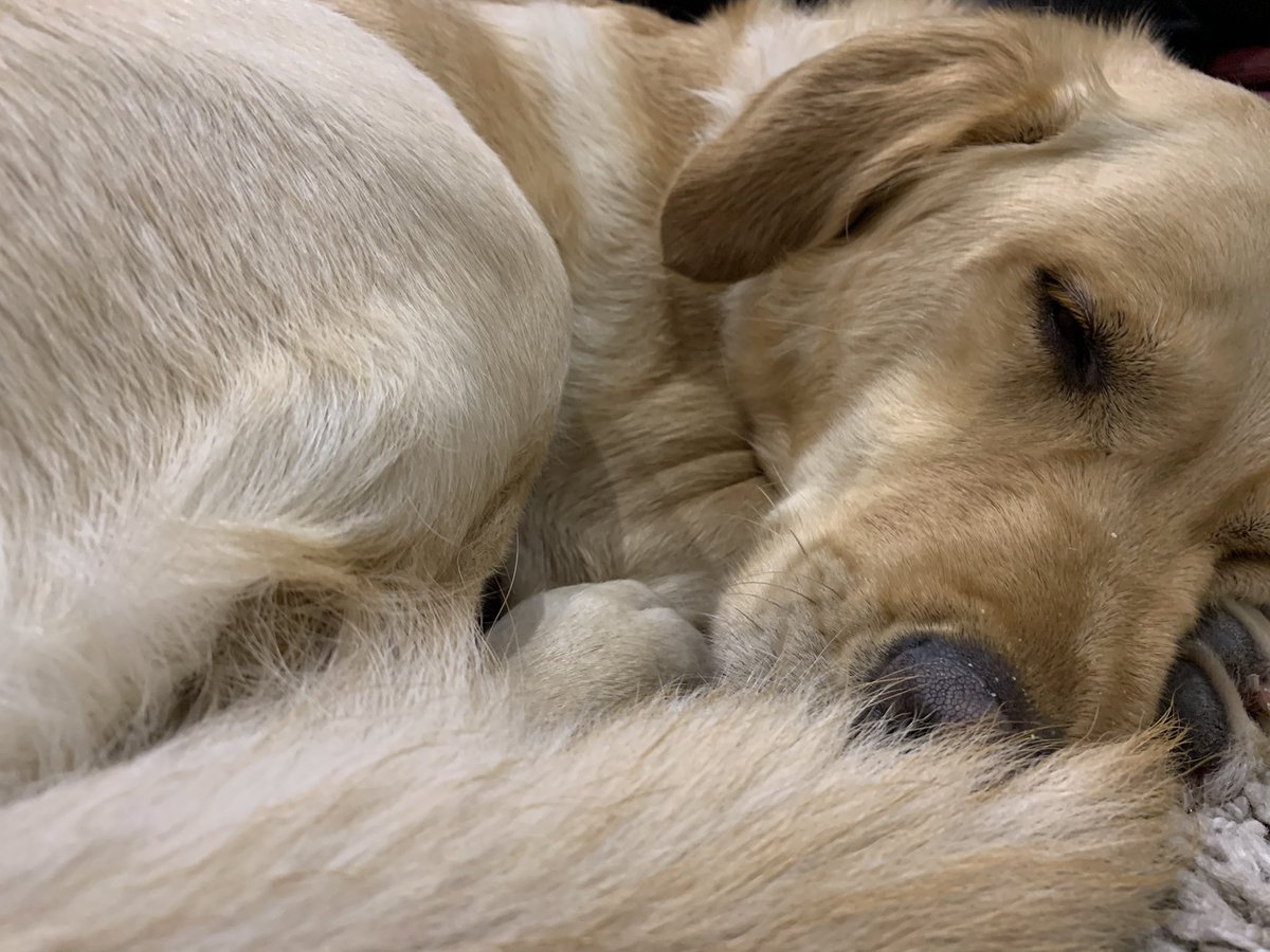 Michelle Pearce-Burke tweet media