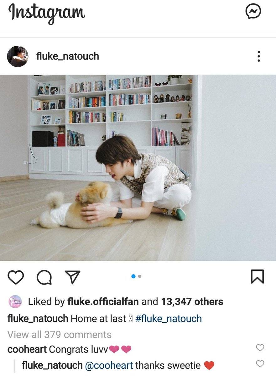 DiabPink's tweet photo. FlukeEarth babies.
#allfluke
#เจ้าแก้มก้อน 
#fluke_natouch https://t.co/SJB33upu42