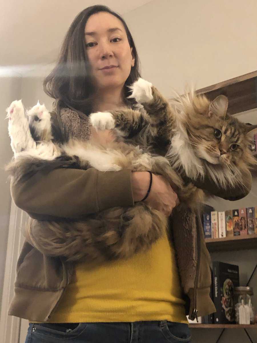 Me, holding an adult brown tabby Maine Coon. She is spilling out of my arms as she gazes into the distance