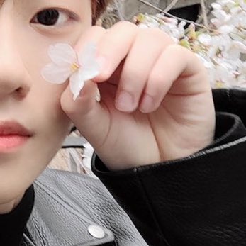 Cuteboy_Gold's tweet photo. 아 진짜 기절하겠다 https://t.co/ECPyAB6vHG