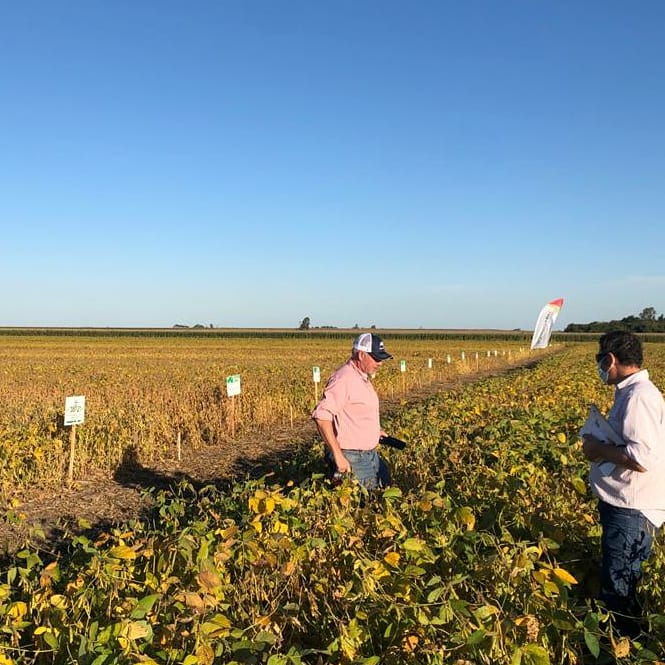 DONMARIOoficial's tweet photo. Acompañamos a todos los distribuidores y cooperadores en las Jornadas #DONMARIOMAS💛  en diferentes zonas del país 🇦🇷.
 Ayer estuvimos con el distribuidor @a_quanta 🤝🏻 en Sampacho, Córdoba. https://t.co/ShI0j2ftqG