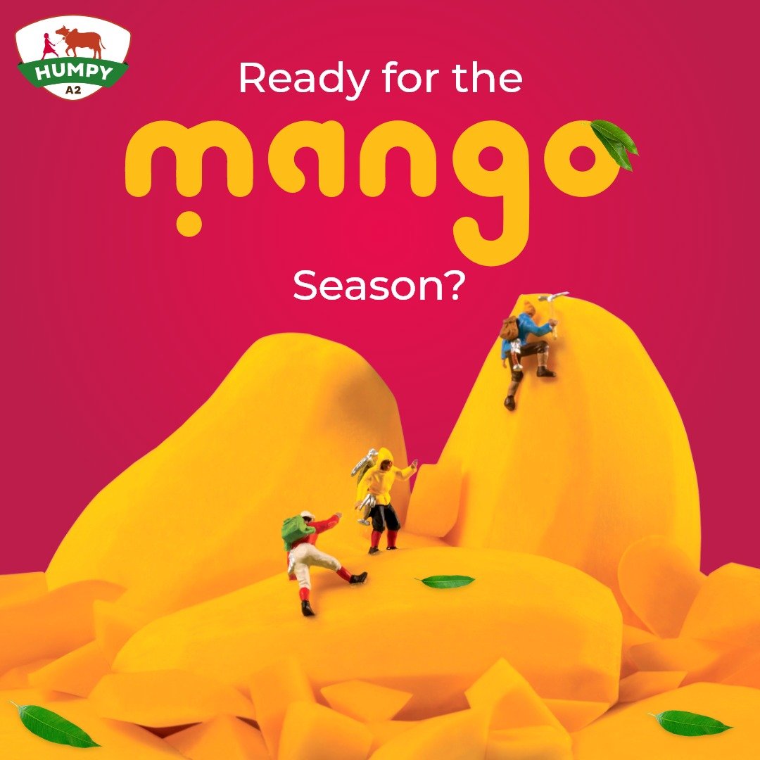 HumpyA2's tweet photo. Mango season is around the corner. Stay tuned to have the most delicious mango-eating experience with Humpy's Alphonso Mangos. 
Mouth-watering, best in taste, and 100% organically certified!

#theorganiccarbon #humpya2 #A2milk #milk #farm #dairy #mangolover #MangoSeason https://t.co/J7Lwl3DXuh