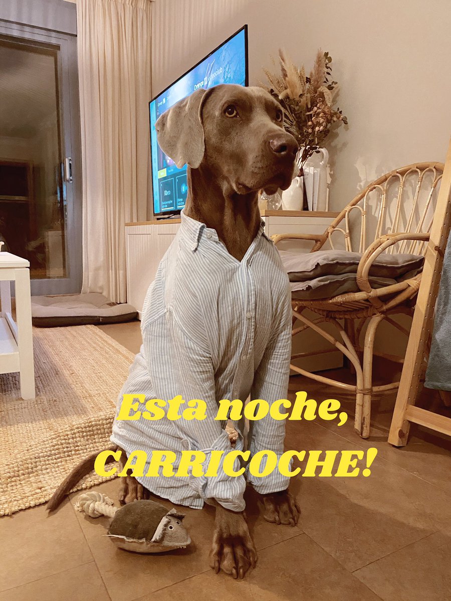 Cirisi's tweet photo. Esta noche...#carricoche 

#isladelastentaciones3 #LaIslaDeLasTentaciones #estanochecarricoche https://t.co/m3GDuZkQHz