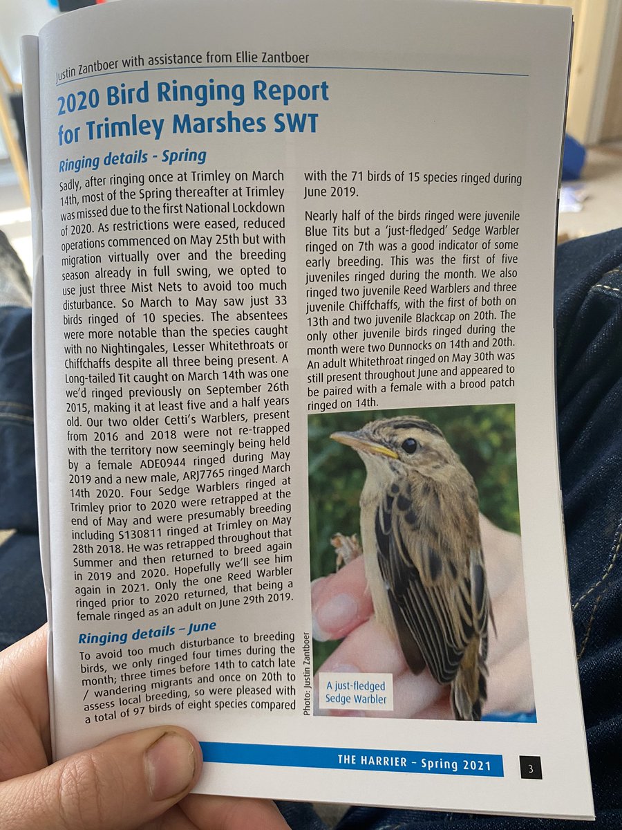 JamesBooty84's tweet image. Great to read the 2020 Trimley Ringing Report in @SuffolkBirdGrp Harrier. What an impressively productive site and team! Well done all of you @ezany2000 @NatureDanZant @JustZant with your many Sedge Warblers (925 ringed last year!) arriving back it’s all go again @suffolkwildlife