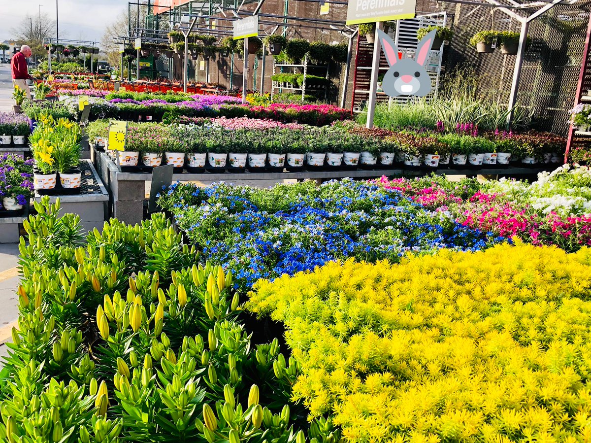 PPSKare's tweet photo. THD #1121 in NMB where the Awesome Varieties of Perennial Product enjoys the weather &amp; is ready for you to take home and dig it for Easter! #greatgifts #giveseveryyear #plantit @Sam_Wright1121 @JimSimmonsHD @Stephen_E_Camp @PPSinHD @pps_s_atlantic https://t.co/3UIWuTE36M