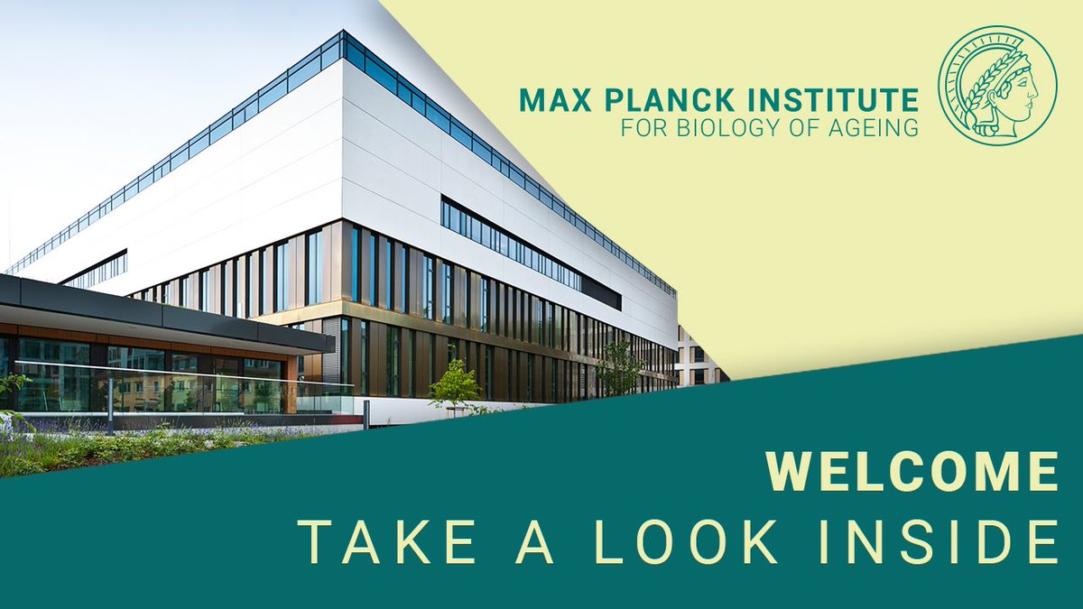 MPIAGE's tweet photo. Did you always want to know what it looks like in our #institute and what makes us so special as a #research institute? Take a #tour with us!

https://t.co/lWYDfEs70F https://t.co/mTutBI0kaw