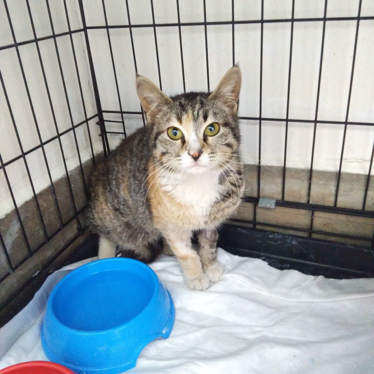 Merhaba arkadaşlar minik için 6 günü geride bıraktık ama önümüzde 78 günümüz var hala. Yolumuz uzun lütfen bizi bu yolda yalnız bırakmayın sizlerin desteğiyle biz bu savaşı kazanacağız Allah'ın izniyle. Sizleri çok seviyoruz 😻
Lütfen RT desteği verin minik için.