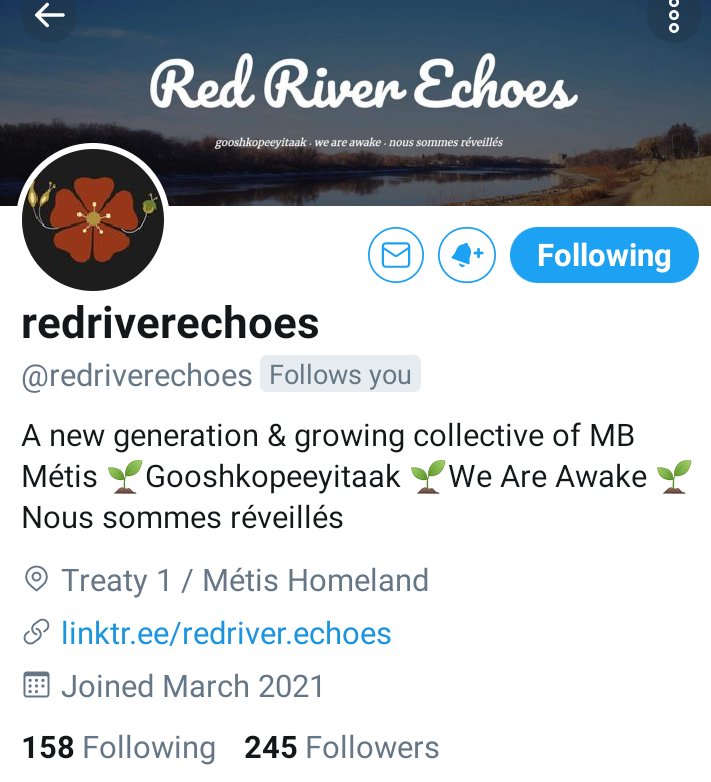 LADYALEXANDRIA's tweet photo. I am sorry I cannot follow an effort or organization that uses the term #Raceshifters . This is NOT right. #Metis , #MetisNation . You are trying to challenge #DavidChartrand and #MMF. So you wipe out the Good you are trying to do by using the term Raceshifting. https://t.co/vwCVwsZb5E
