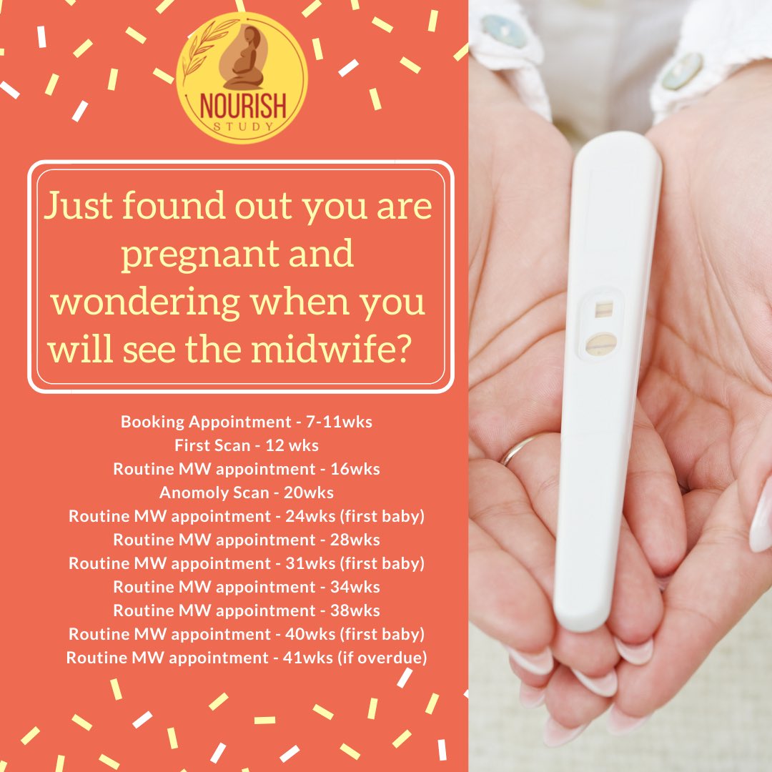Just found out you are pregnant and wondering when you will see the midwife? NOURISH Study-Plymouth University @HGSupportUK @Kmaslin @modern_midwife1 @WRISK_project @NCTcharity @NCTPlymouth @trishgreenhalgh @tommys_preghub @PlymMidSoc @MumaDean